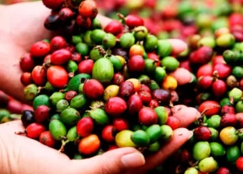 diseno sin titulo 2024 02 19t085656.418 2