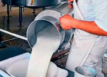 honduras abre sus fronteras al mercado lacteo guatemalteco