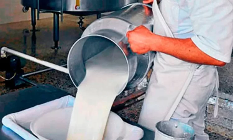 honduras abre sus fronteras al mercado lacteo guatemalteco