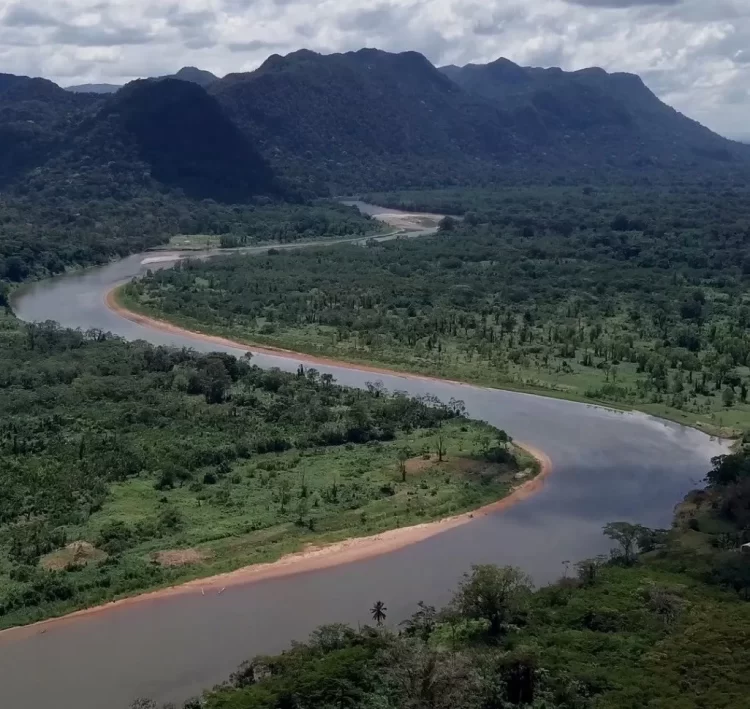 nortenas fundacion rewild 2