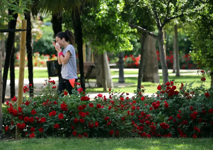 obb3p4hggrctfcma3sx5xrjnza