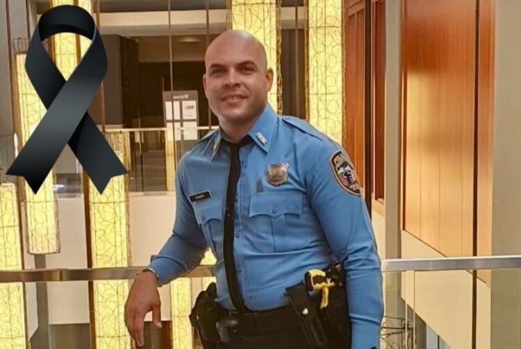 480930759 638258538795840 1547415823617333759 n