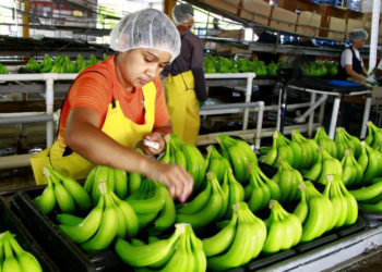 7db75fd0 42a5 47df 93f3 2fbe443341a8