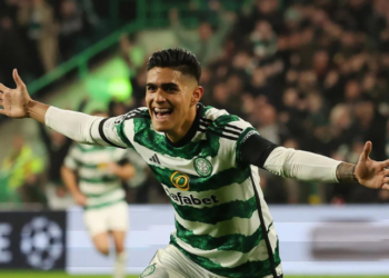 diseno sin titulo 15