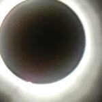 whatsapp image 2024 04 08 at 4.04.49 pm (4)