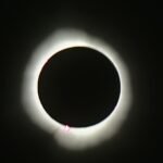 whatsapp image 2024 04 08 at 4.04.49 pm (5)