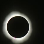 whatsapp image 2024 04 08 at 4.04.49 pm (7)