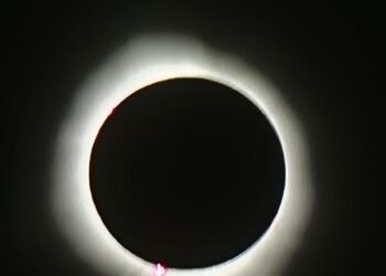 whatsapp image 2024 04 08 at 4.04.50 pm (7)