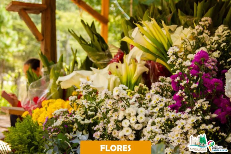 5dee1ec9 0eed 47d4 943e 2a0d62e1e124 1