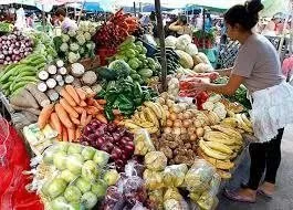 adecabah advierte que 7 de cada 10 hogares hondurenos son afectados por inaccesibilidad a canasta basica