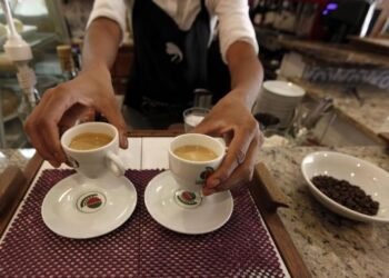 lynxnpec120n4 750x495