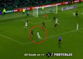 palma 6336940 20231223104349