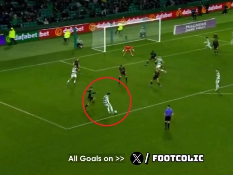 palma 6336940 20231223104349