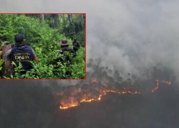 principal incendios forestales honduras 1
