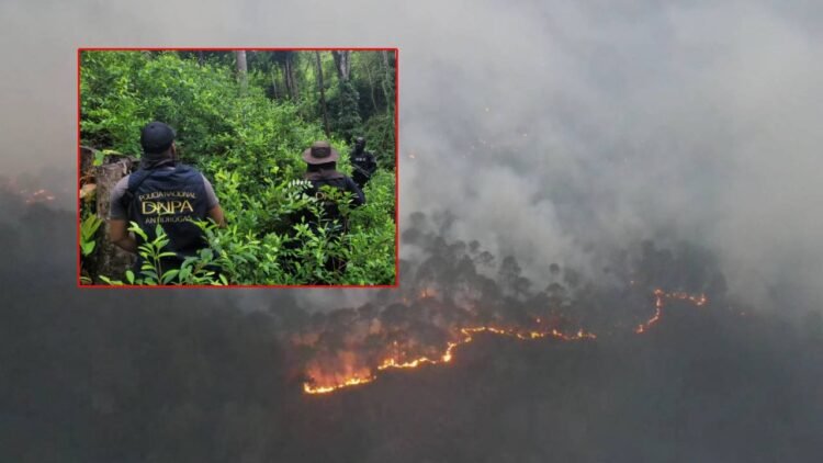 principal incendios forestales honduras 1