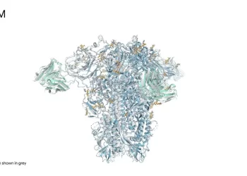 proteina spike reconstruida alphafold 3 97