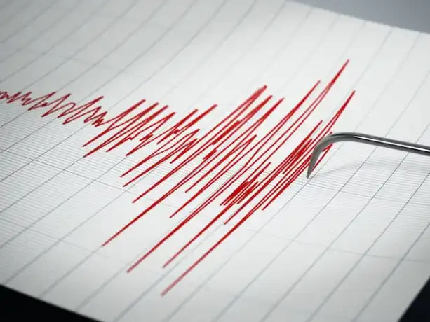 vn6y567x7be3zjn42rbhjcrcmy