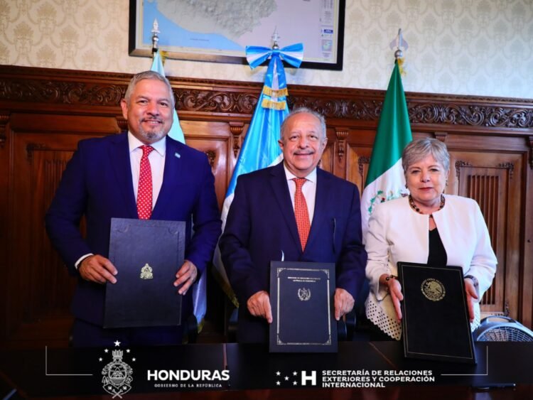 whatsapp image 2024 05 08 at 10.00.24 am