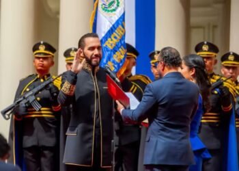 7evdtpbdjrccnka75zqhaqt63i.jpg 905x613