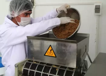 99975187 6963 4b08 b6fb 8ca616540694 16 9 aspect ratio default 0