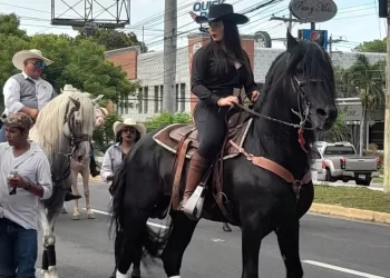 culpable 20240623 071458 0000