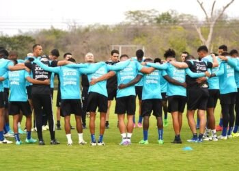 diseno sin titulo 84