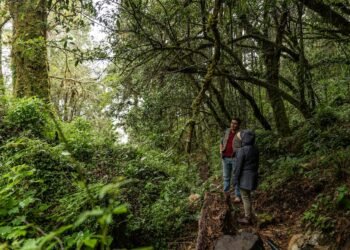 k2jxkzyrtzdfxlzzxtgkc4bwpi