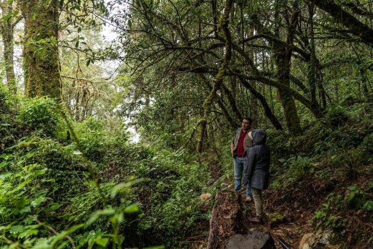 k2jxkzyrtzdfxlzzxtgkc4bwpi