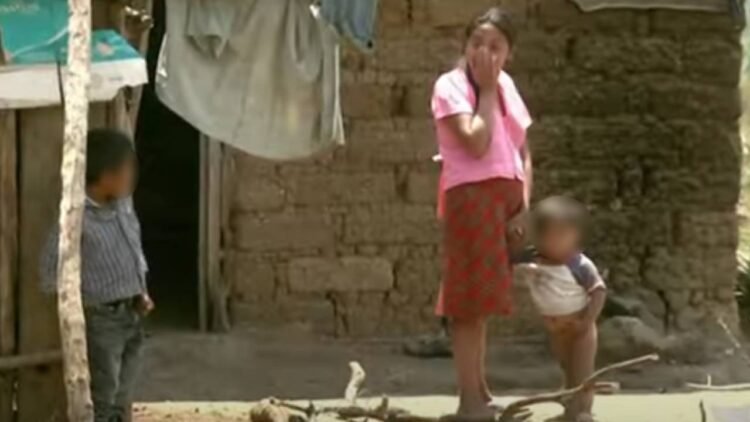 principal inseguridad alimentaria honduras fao