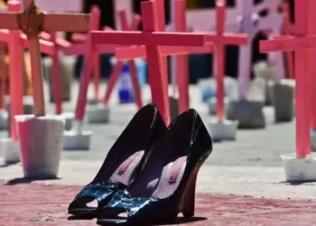 whatsapp image 2024 06 20 at 7.52.33 am