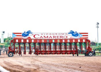 364715150 669233761915273 2327479762466203538 n