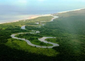 biosfera del rio platano