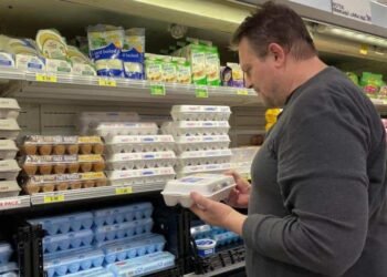 consumo focus 0.28 0.42 896 504