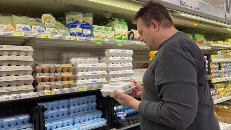 consumo focus 0.28 0.42 896 504