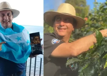 diseno sin titulo 2024 07 05t132801.523