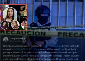 principal canciller ataque mexico