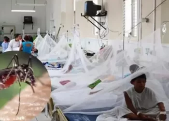 screenshot 2024 07 07 16 20 12 35 40deb401b9ffe8e1df2f1cc5ba480b12