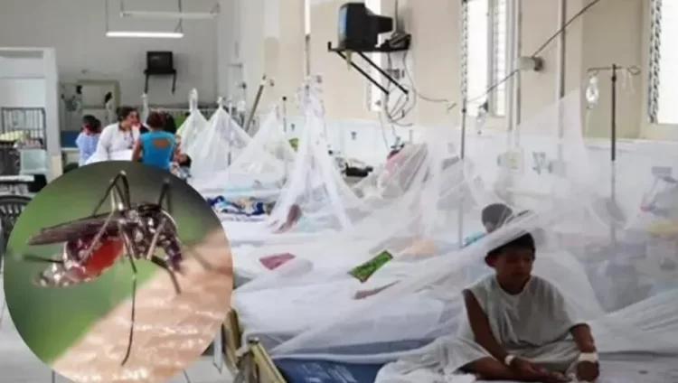 screenshot 2024 07 07 16 20 12 35 40deb401b9ffe8e1df2f1cc5ba480b12