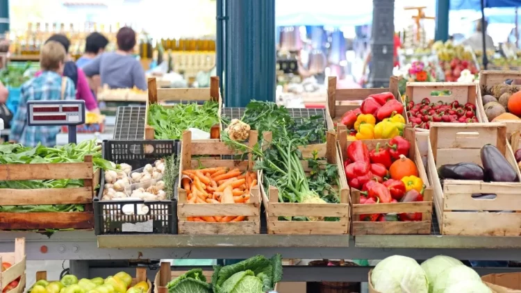 verduras 002.jpg 554688467