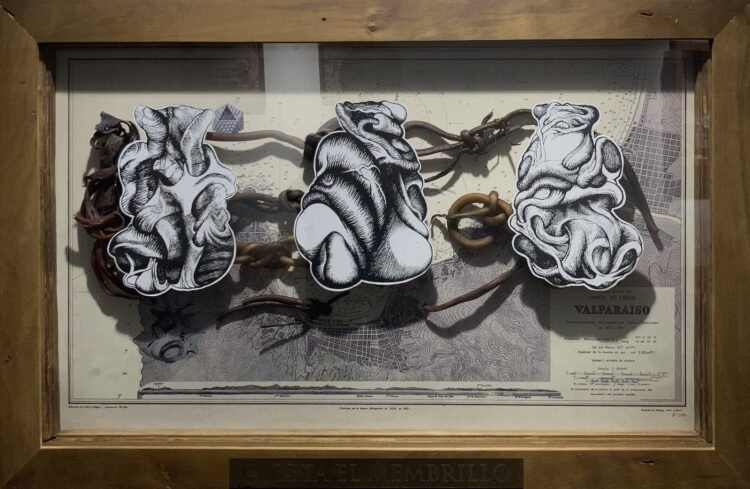 whatsapp image 2024 07 12 at 08.15.14 ad0fbe5c