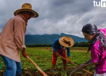 principal estudio revela que mujeres del corredor seco son las mas afectadas por hmabre 2024 08 20