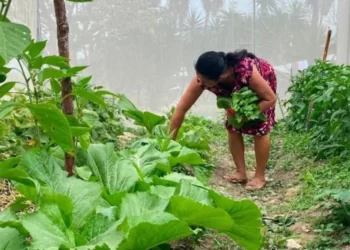 red gradient full photo crime news twitter post 20240821 095840 0000