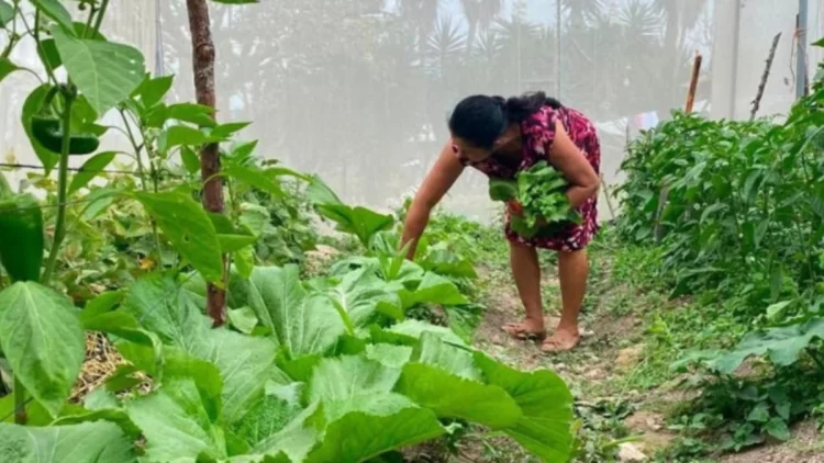 red gradient full photo crime news twitter post 20240821 095840 0000