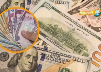 n247hn 25 sept 2024 4