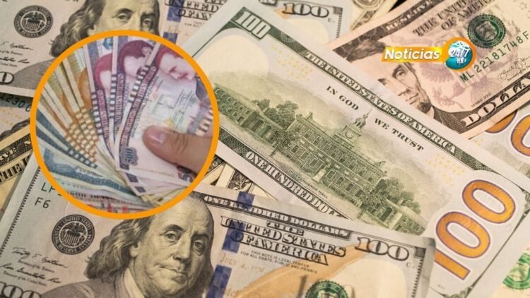 n247hn 25 sept 2024 4