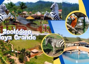 orange and black modern social media management services twitter post 20240831 131347 0000