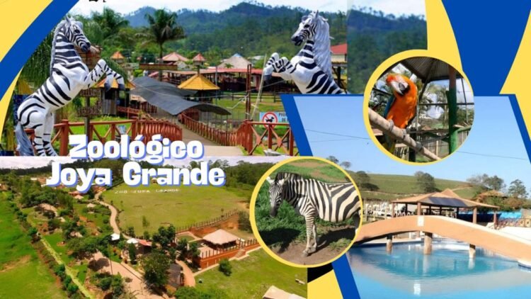 orange and black modern social media management services twitter post 20240831 131347 0000