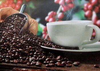 principal honduras a punto de perder mercado europeo de cafe