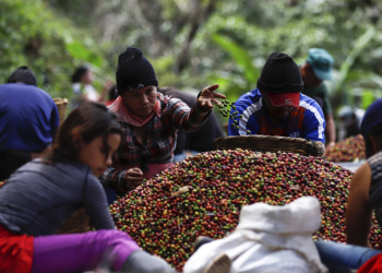 c2028c1e 86eb 4550 866f d47b4779fa78