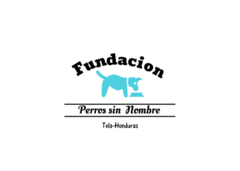fundacion perros sin nombres